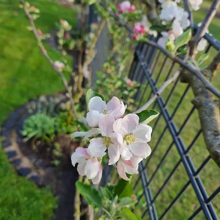 Aura Homestay Niederdorla